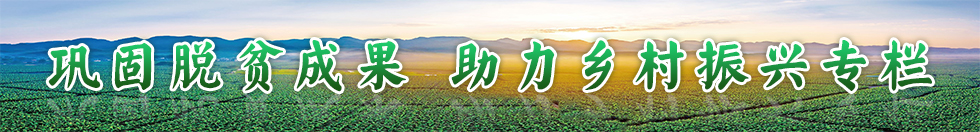 鞏固脫貧成果 助力鄉村振興專欄